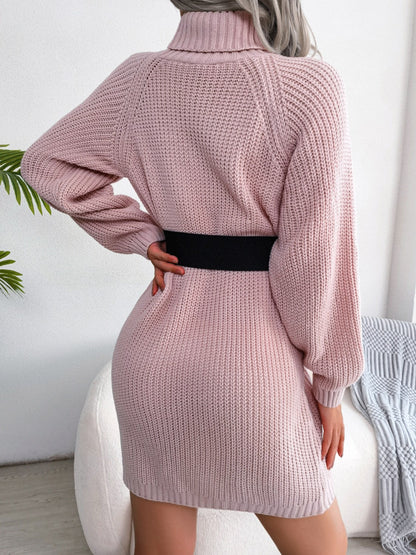 Decorative Button Turtleneck Sweater Dress - Fashion Finder Hub