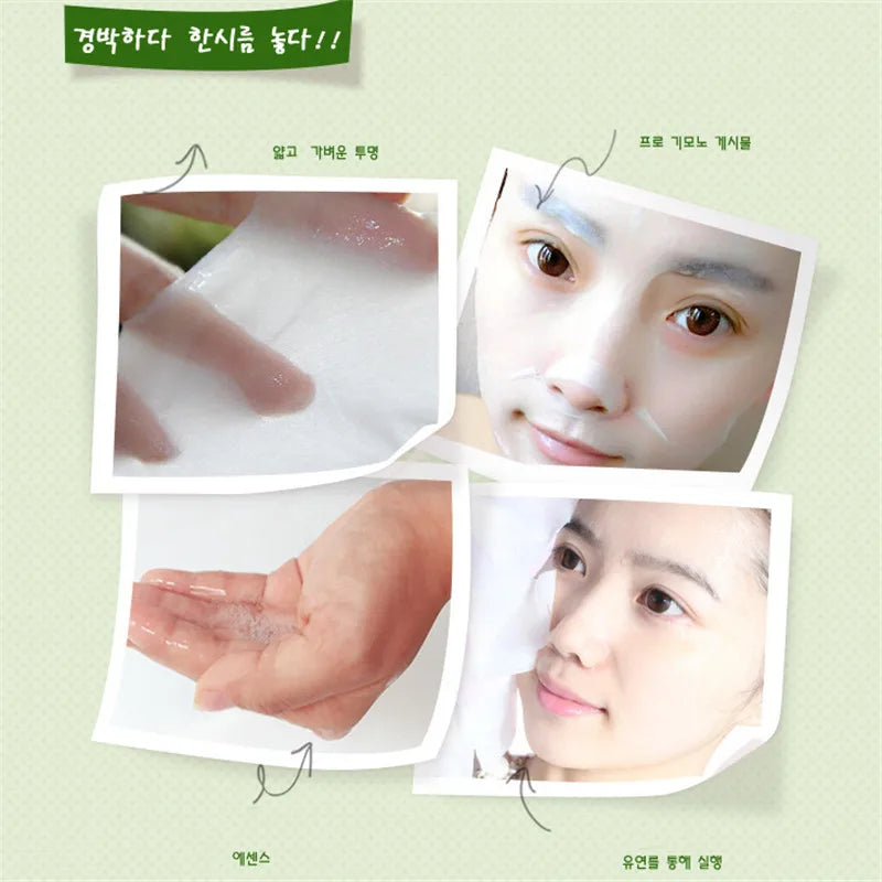 Skin Care Natural Fruit Plant Facial Mask Moisturizing Oil- Aloe Sheet Face Mask