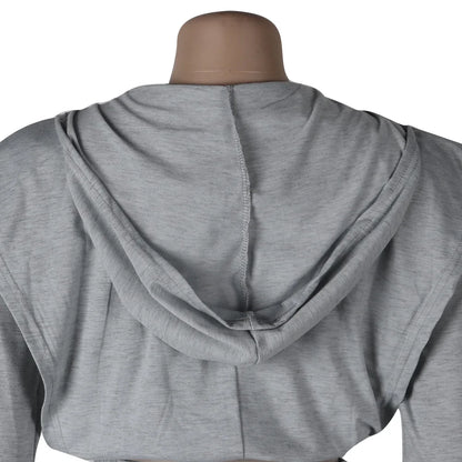 Solid Long Sleeve Two piece Sweatsuit Sets