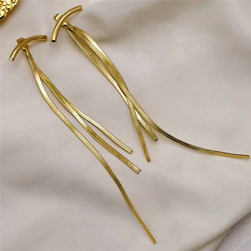 Paris Retro Shiny Long Tassel Hanging Earrings