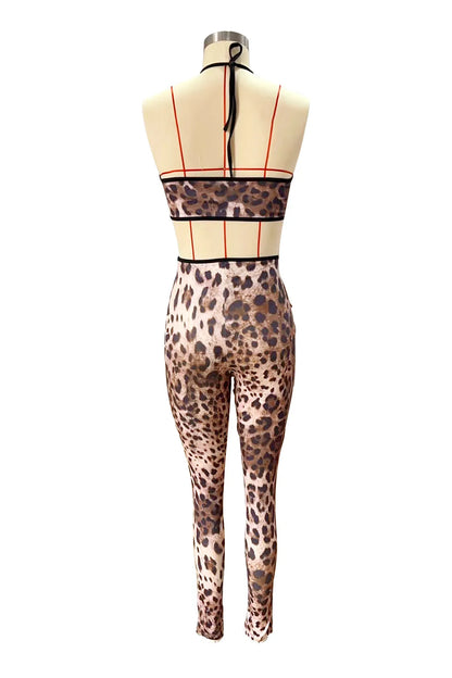 Women Pant Sets 