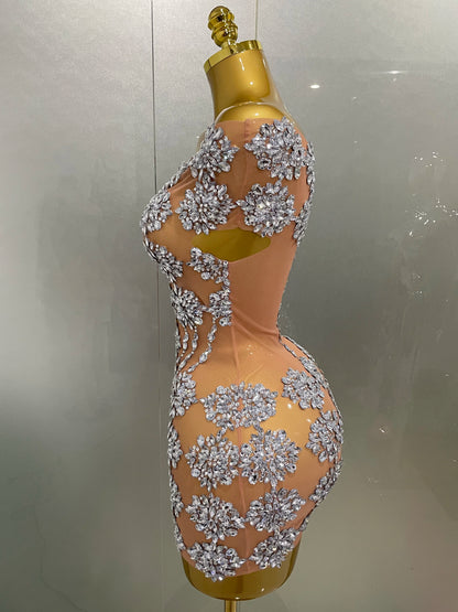 Luxury Sparkly Rhinestone Mesh Mini Dresses
