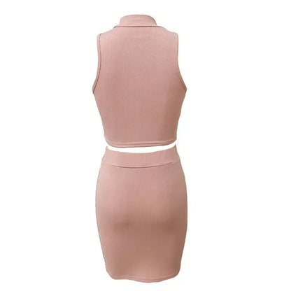 Crop Top + Mini Skirt Night Club Outfits Matching Sets