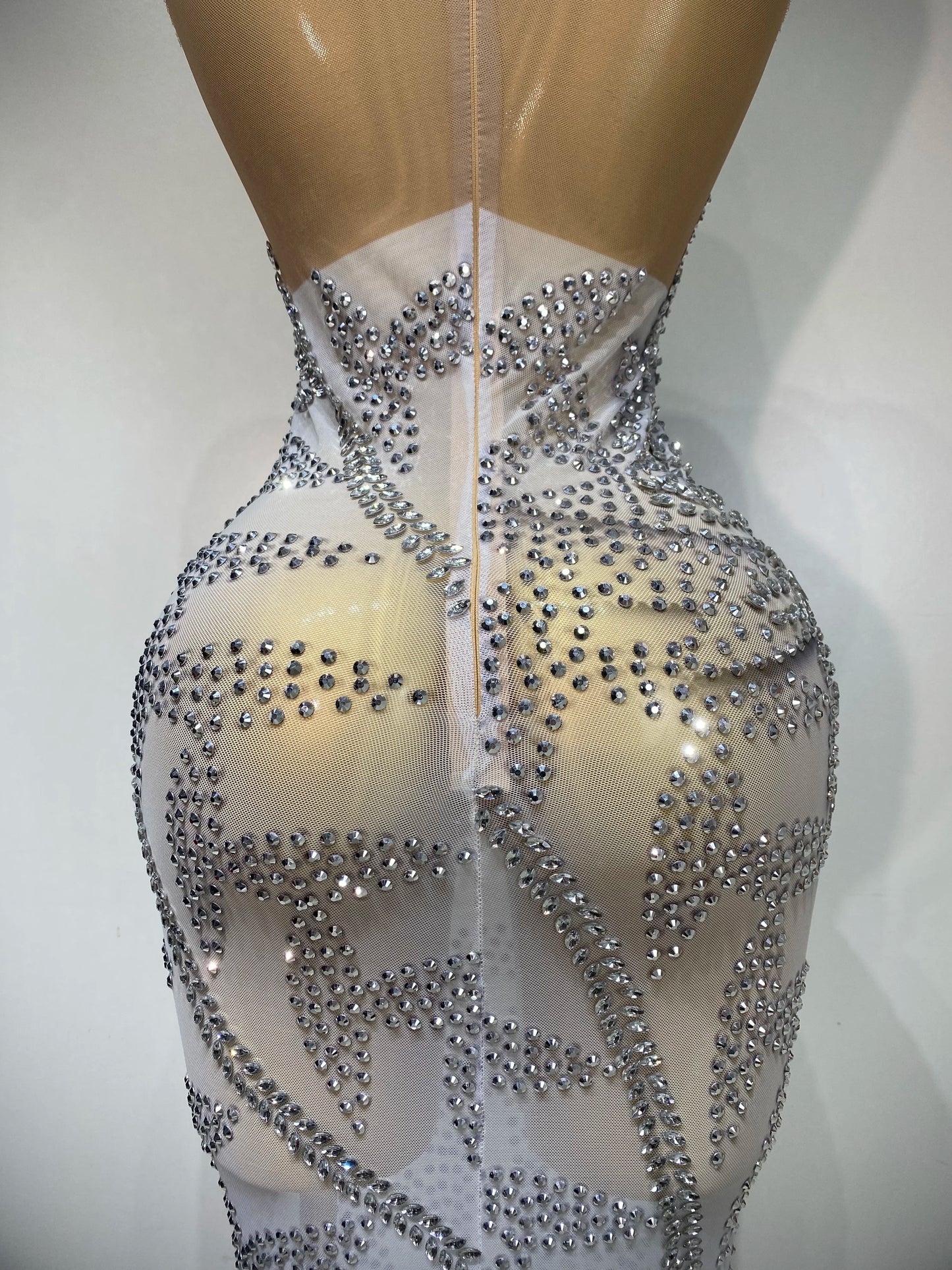 Luxury Rhinestone Sleeveless Silver Maxi Dresses (See Through)