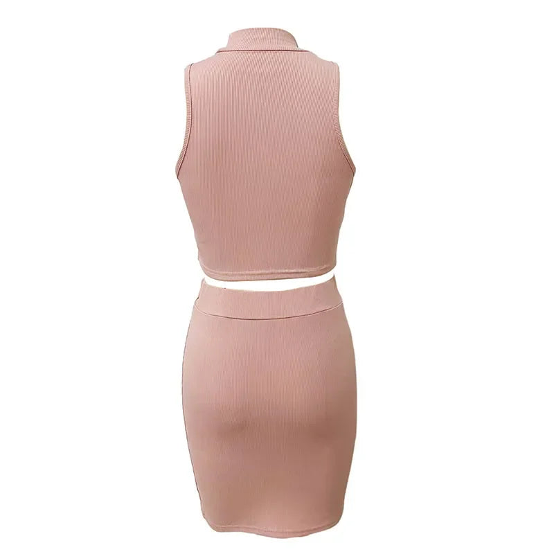 Crop Top + Mini Skirt Night Club Outfits Matching Sets