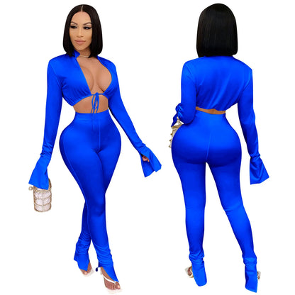 Casual Polyester Crop Top + Pant Sets