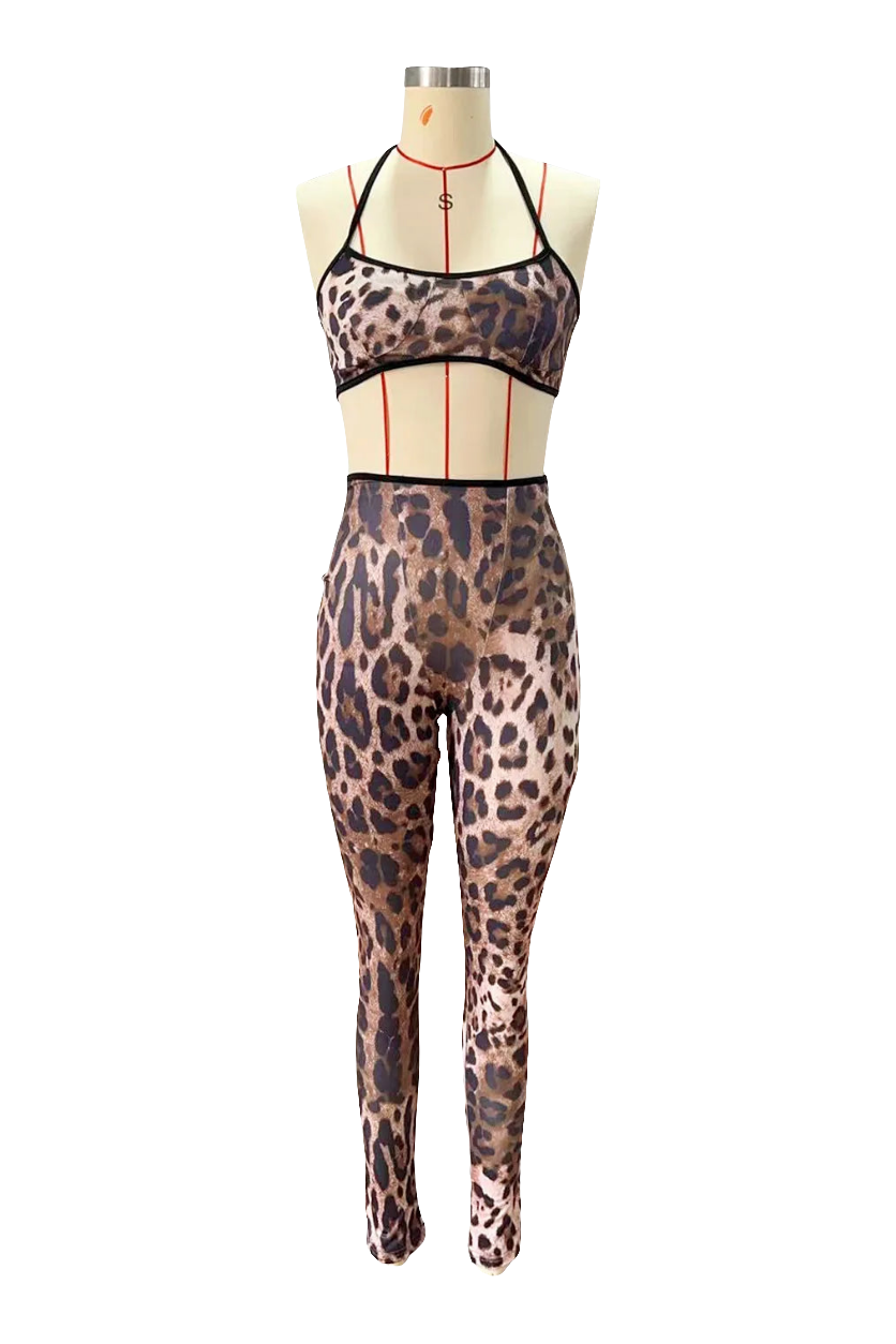 Women Pant Sets 