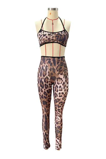 Women Pant Sets 